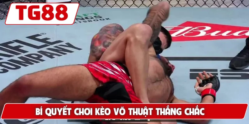 Bí quyết chơi kèo võ thuật thắng chắc