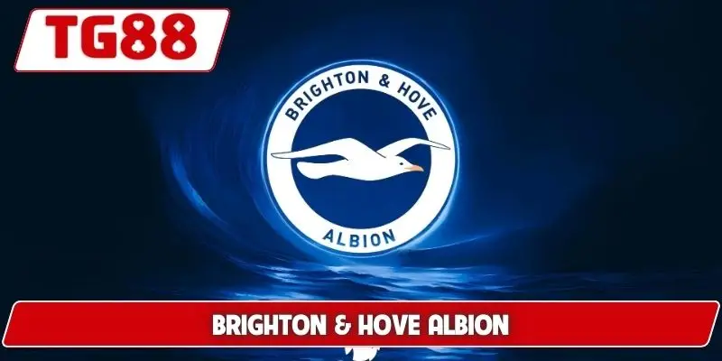 Brighton Và Hove Albion: Cập Nhật Kèo Cược Brighton Tại TG88 1 Brighton Và Hove Albion