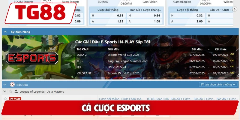 Cá Cược Esports Tại TG88 – Cơ Hội Thắng Lớn Mỗi Ngày 3 Cá cược esports