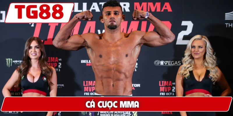 Cá Cược MMA Tại TG88 - Cảm Giác Kịch Tính Và Hồi Hộp 4 Cá cược MMA