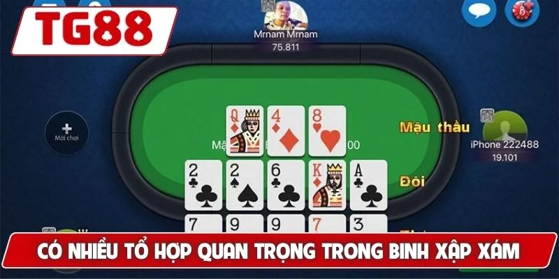 Có nhiều tổ hợp quan trọng trong binh xập xám