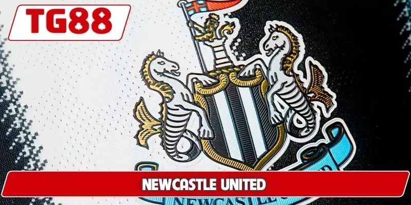 Newcastle United: Cập Nhật Kết Quả Và Kèo Cược Cùng TG88 5 Newcastle United